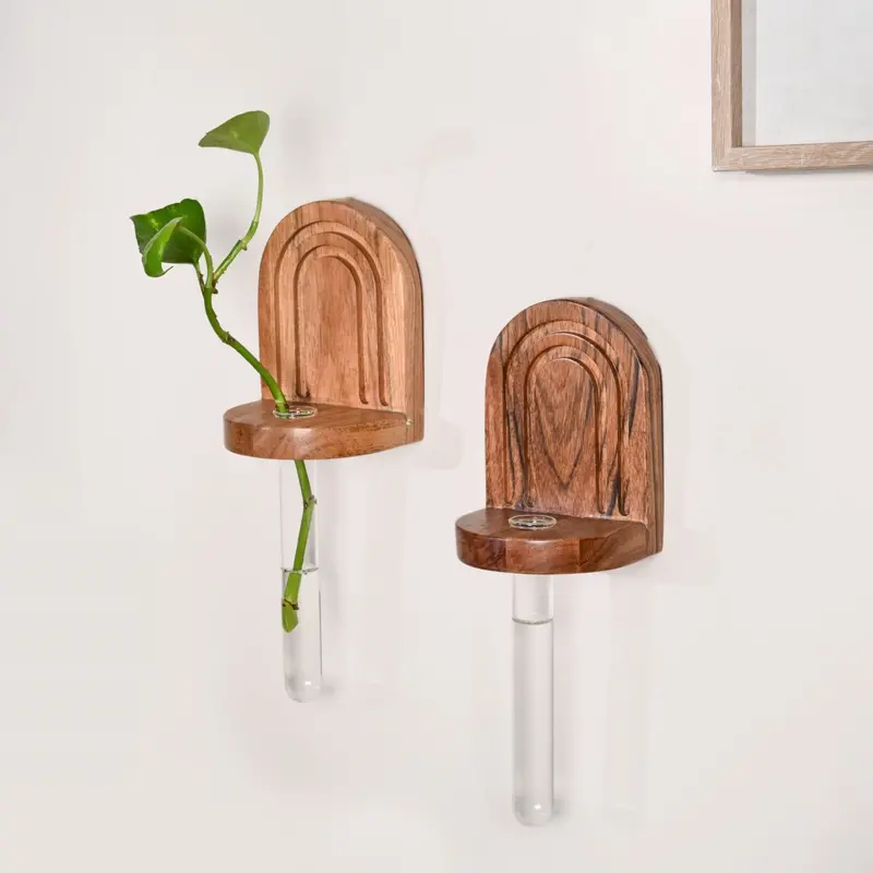 Acacia Wood Wall-Mounted Test Tube Planter Kit (2-Piece) 1
