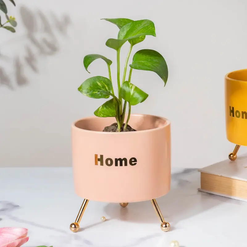 Pink Ceramic Planter Set With Matching Stand 1