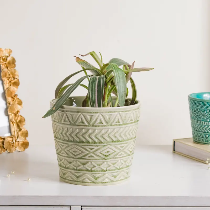 Sage Green Textured Ceramic Pot – Organic Surface Detail 1
