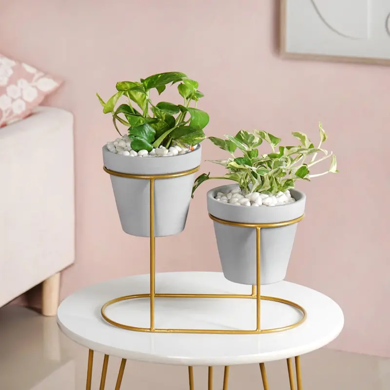 Terraduo Grey Ceramic Planters Paired With Gold Two-Tier Stand 1