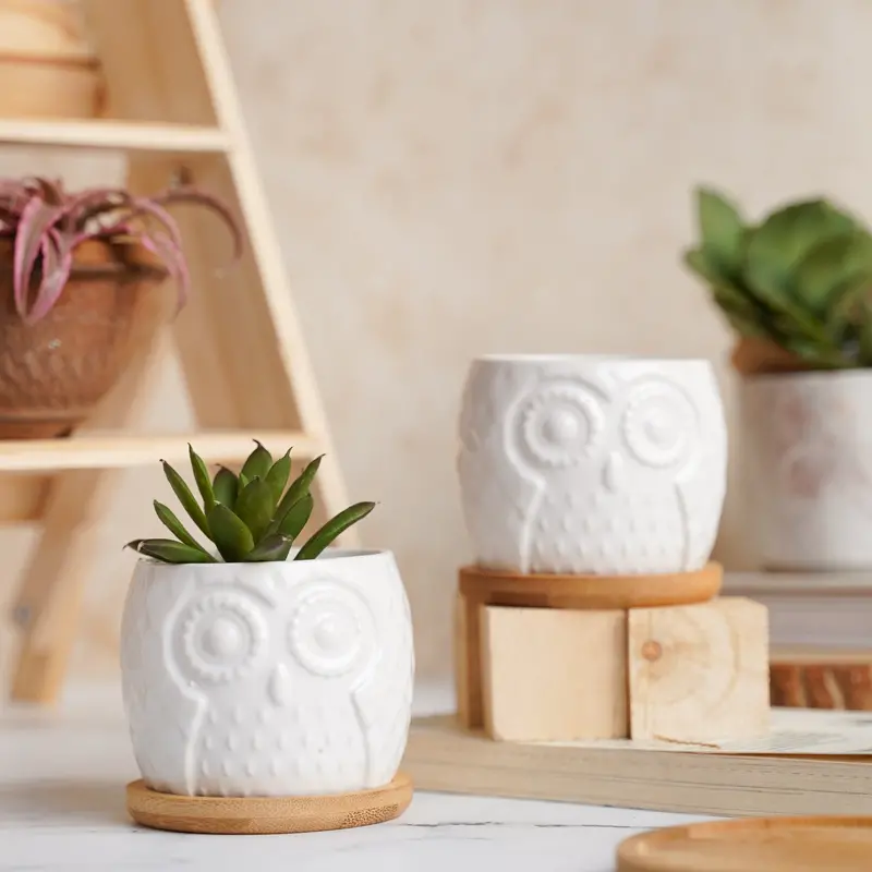 Whimsical Owl-Shaped Ceramic Planter 1