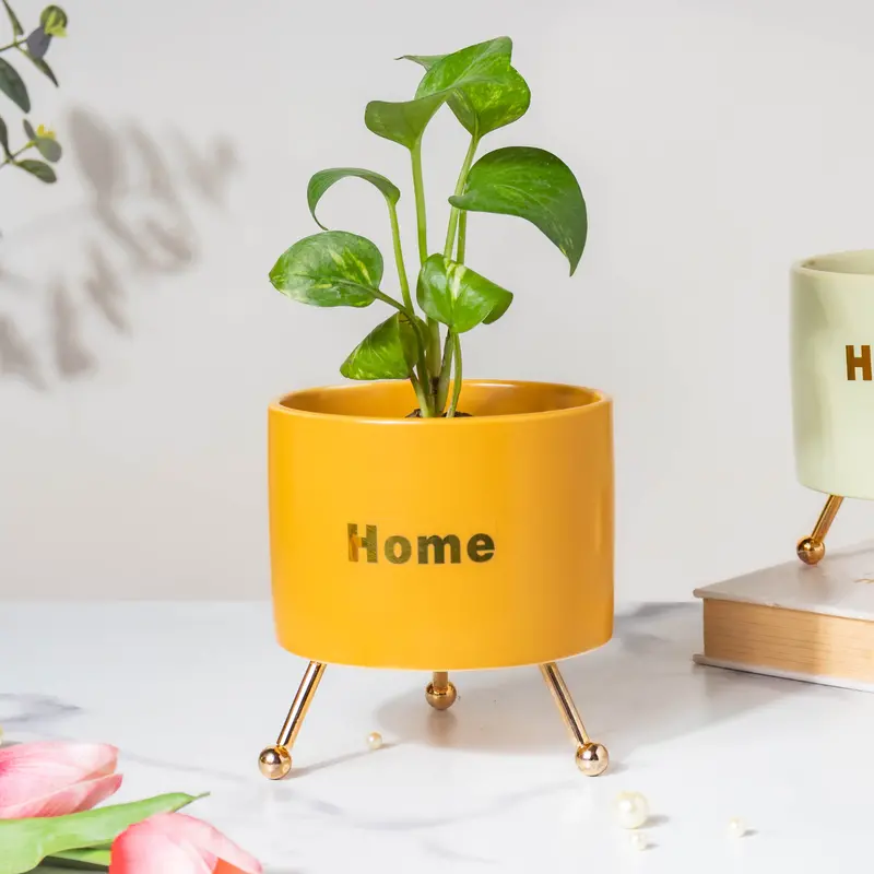 Yellow Ceramic Planter With Stand – Modern Tabletop Accent 1